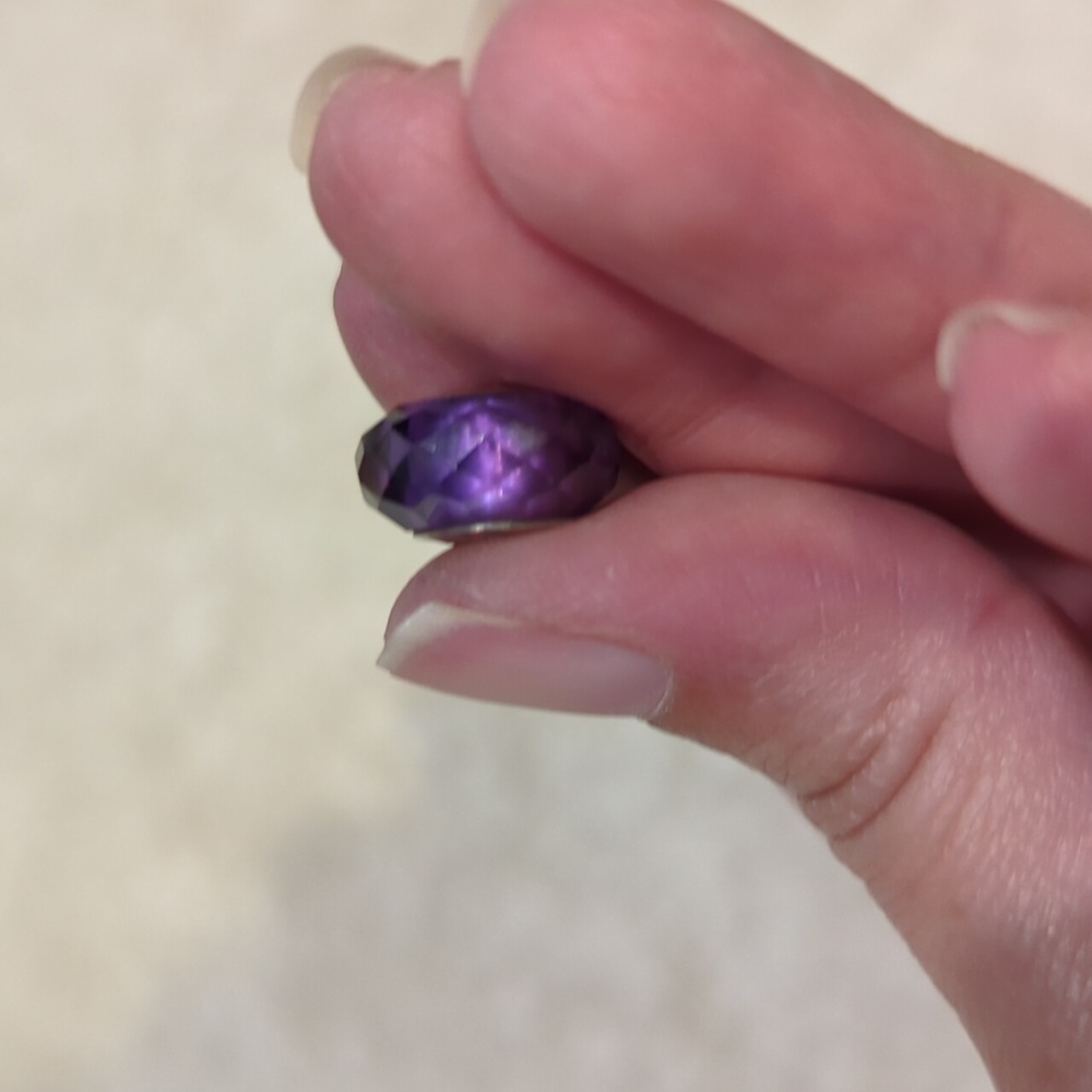 Chamilia Vibrant Purple and Silver Charm